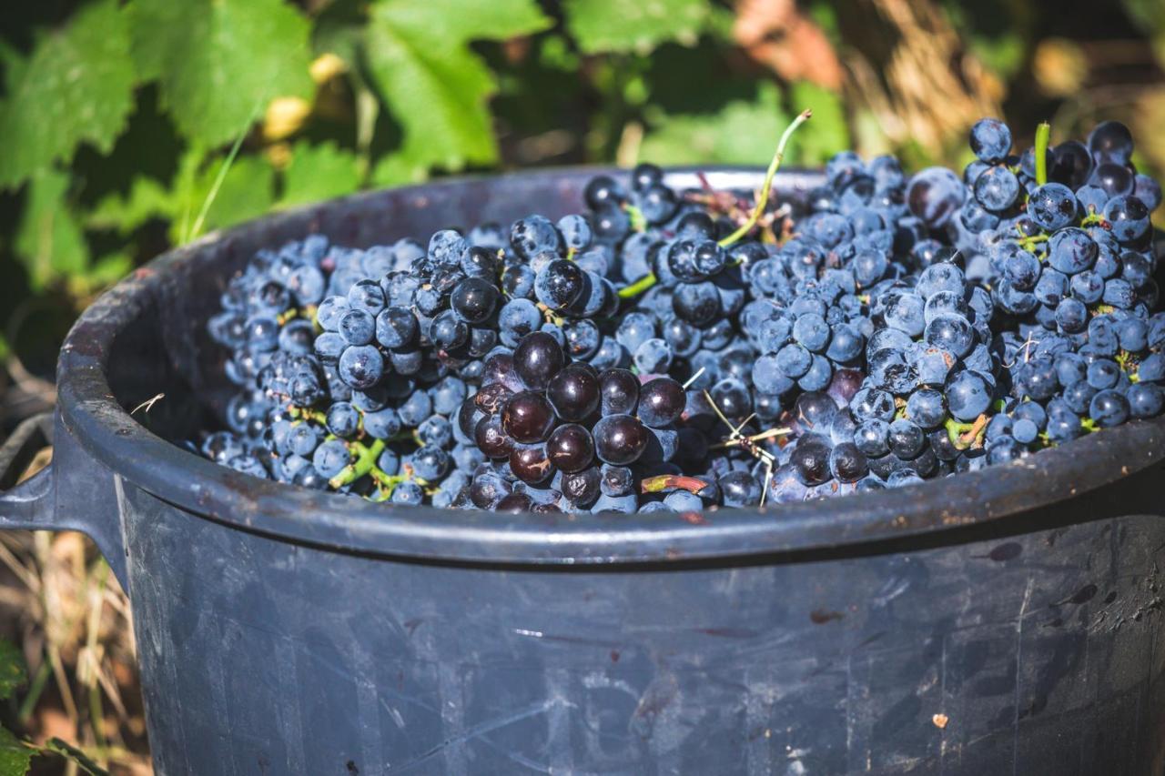 Quinta Do Valdalagea *