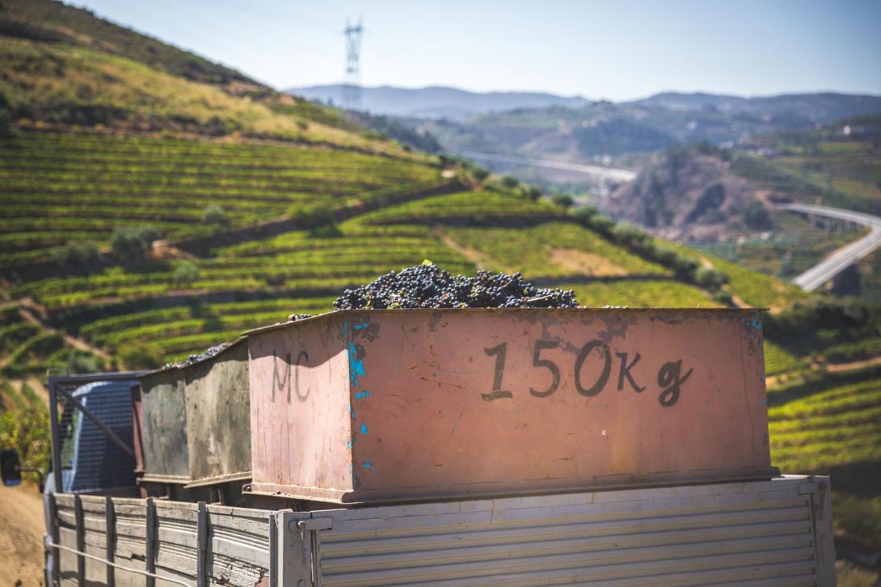 Quinta Do Valdalagea