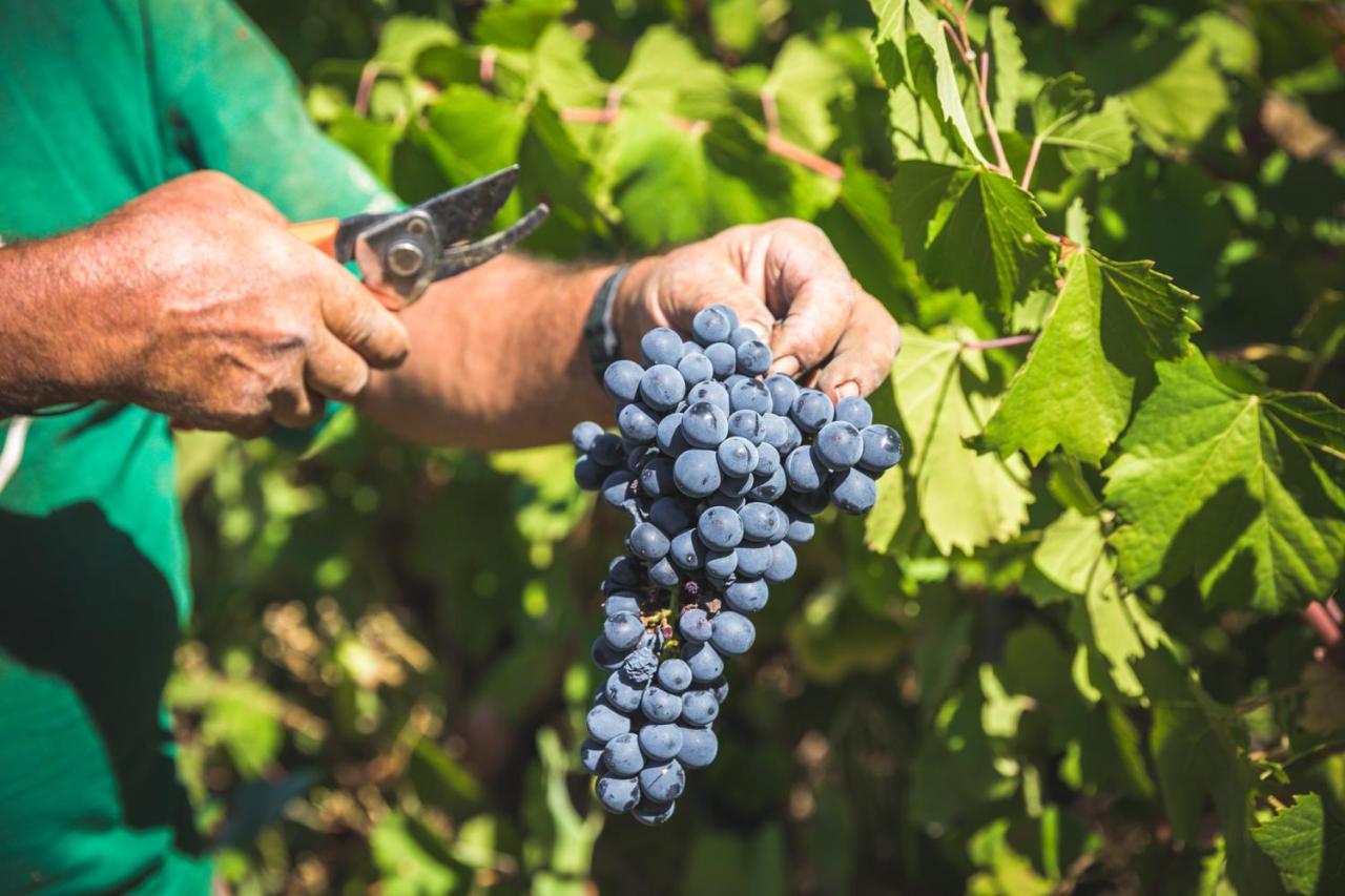 Quinta Do Valdalagea Séjour à la campagne