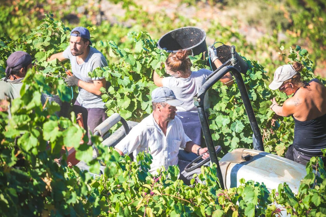 Séjour à la campagne Quinta Do Valdalagea *