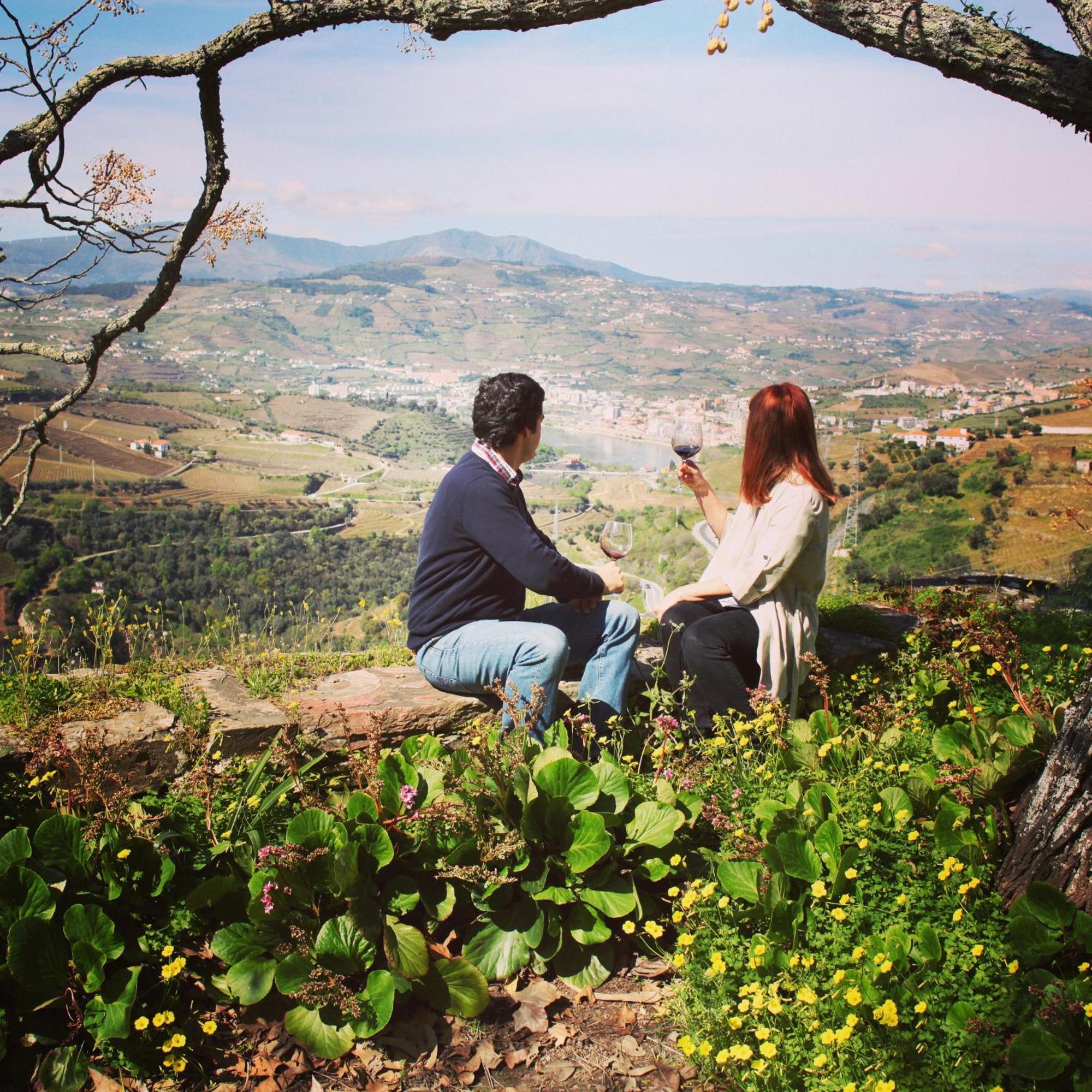 Quinta Do Valdalágea Casa de Campo Peso da Régua