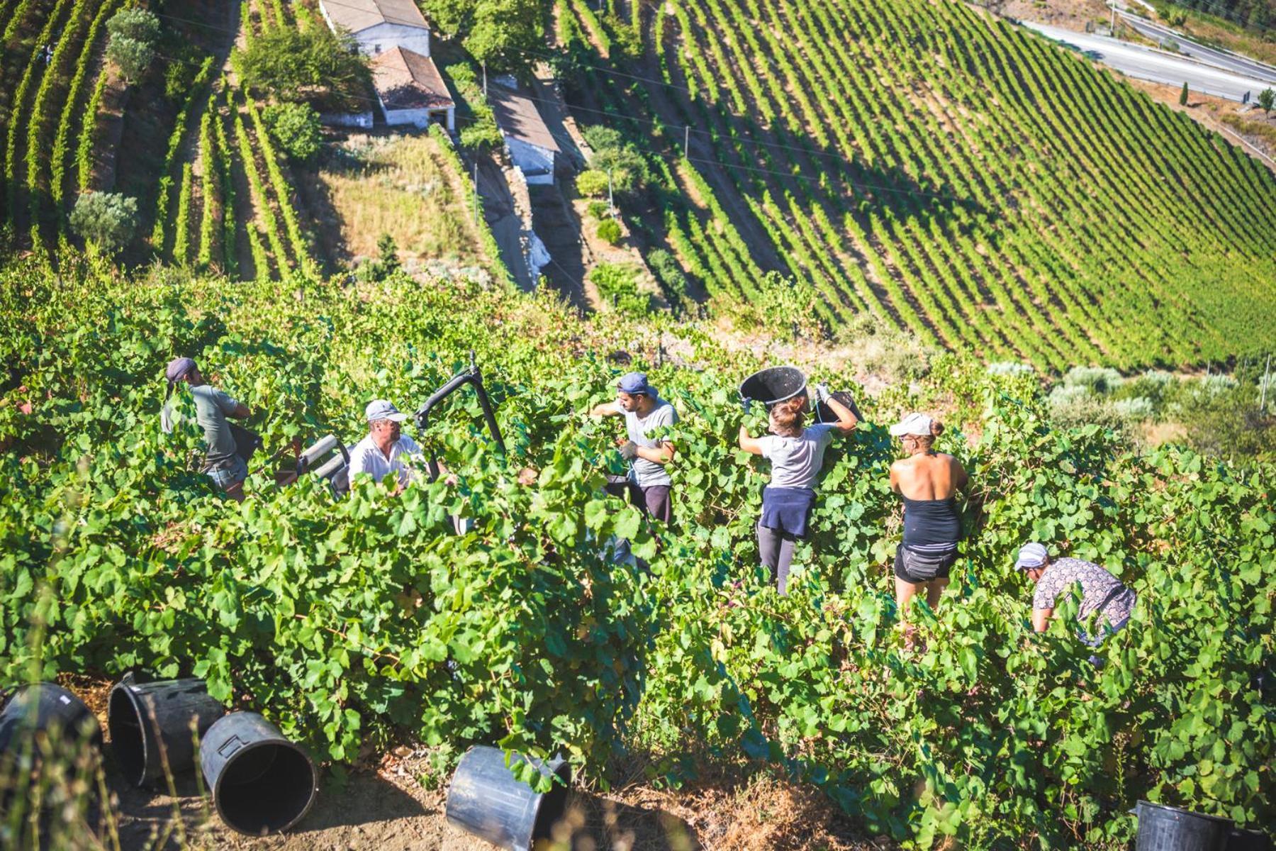 Quinta Do Valdalagea Séjour à la campagne *