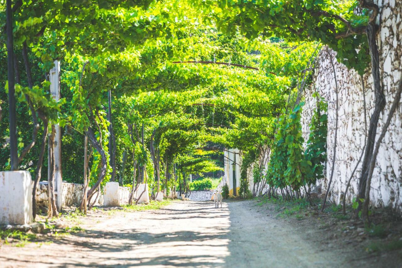 Quinta Do Valdalagea *