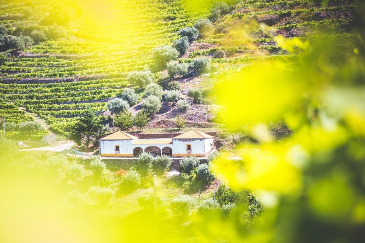 Quinta Do Valdalagea