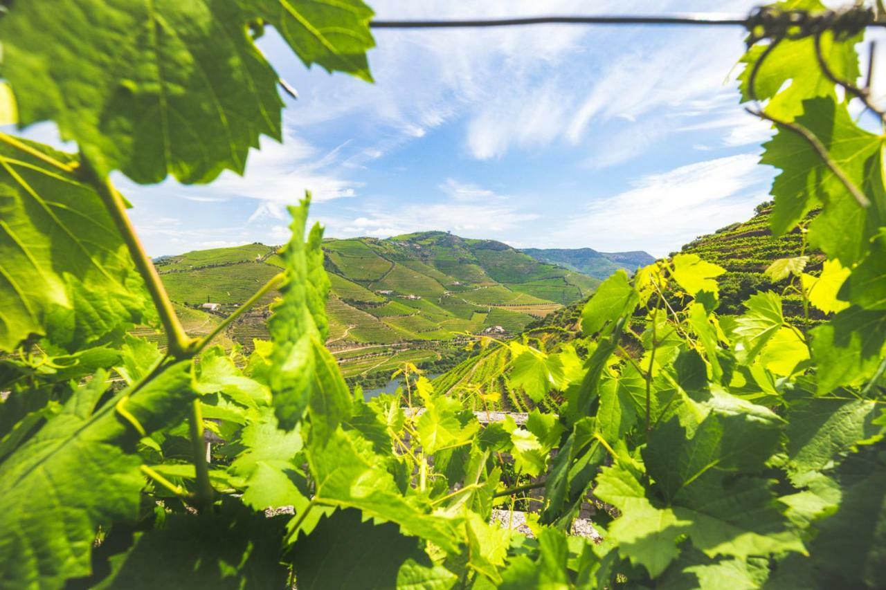 Quinta Do Valdalágea * Peso da Régua