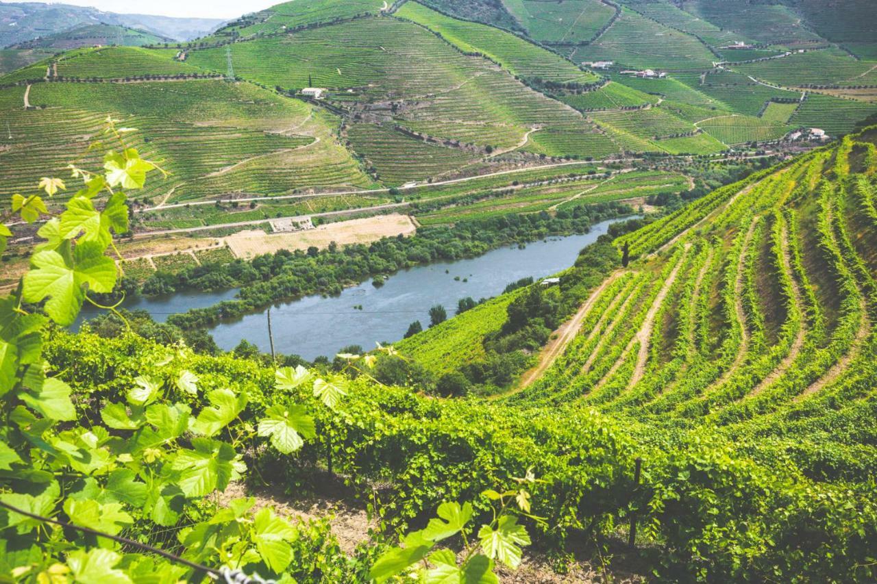 Quinta Do Valdalagea