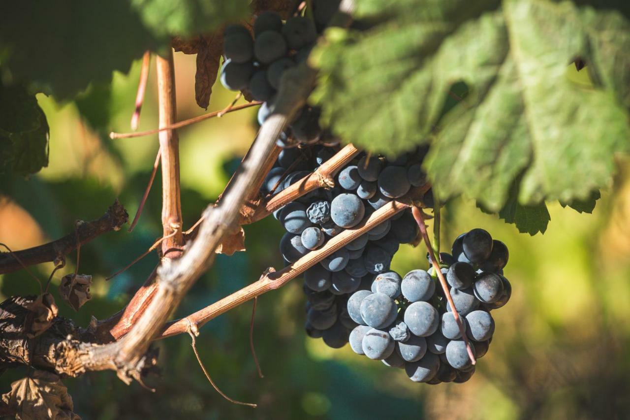 Quinta Do Valdalagea *