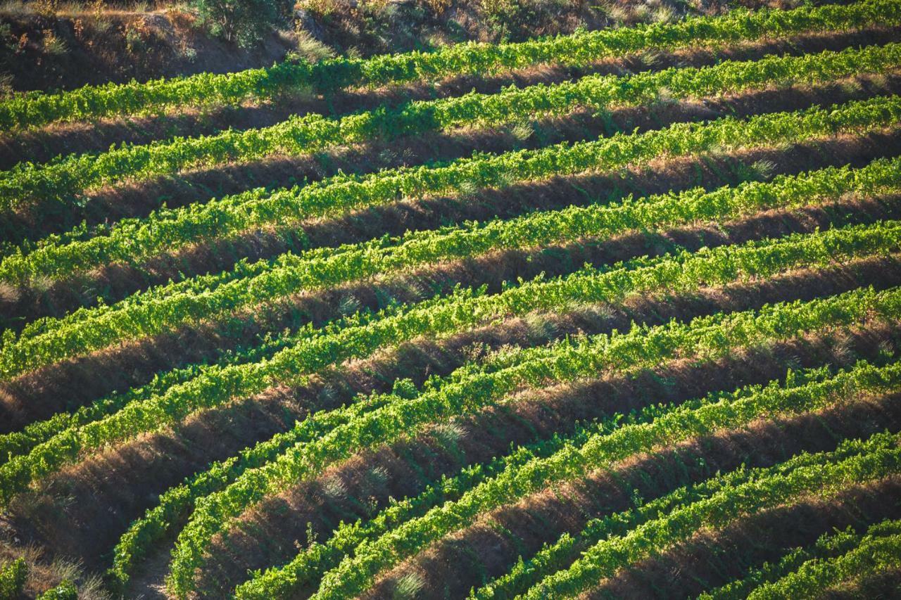 Quinta Do Valdalagea Peso da Régua