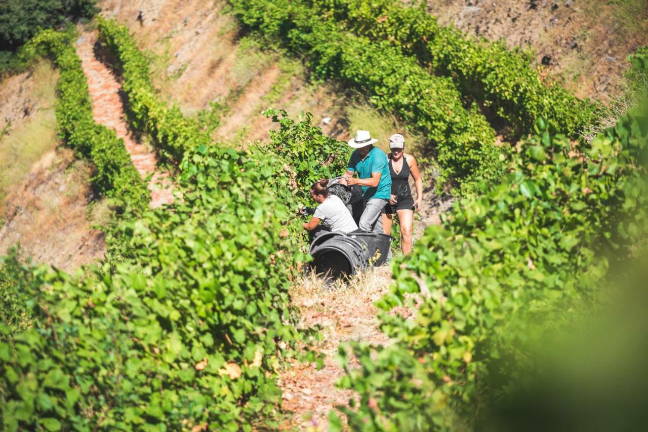 Séjour à la campagne Quinta Do Valdalagea *