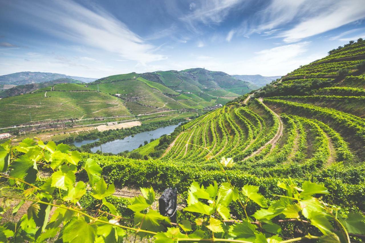 Séjour à la campagne Quinta Do Valdalagea *