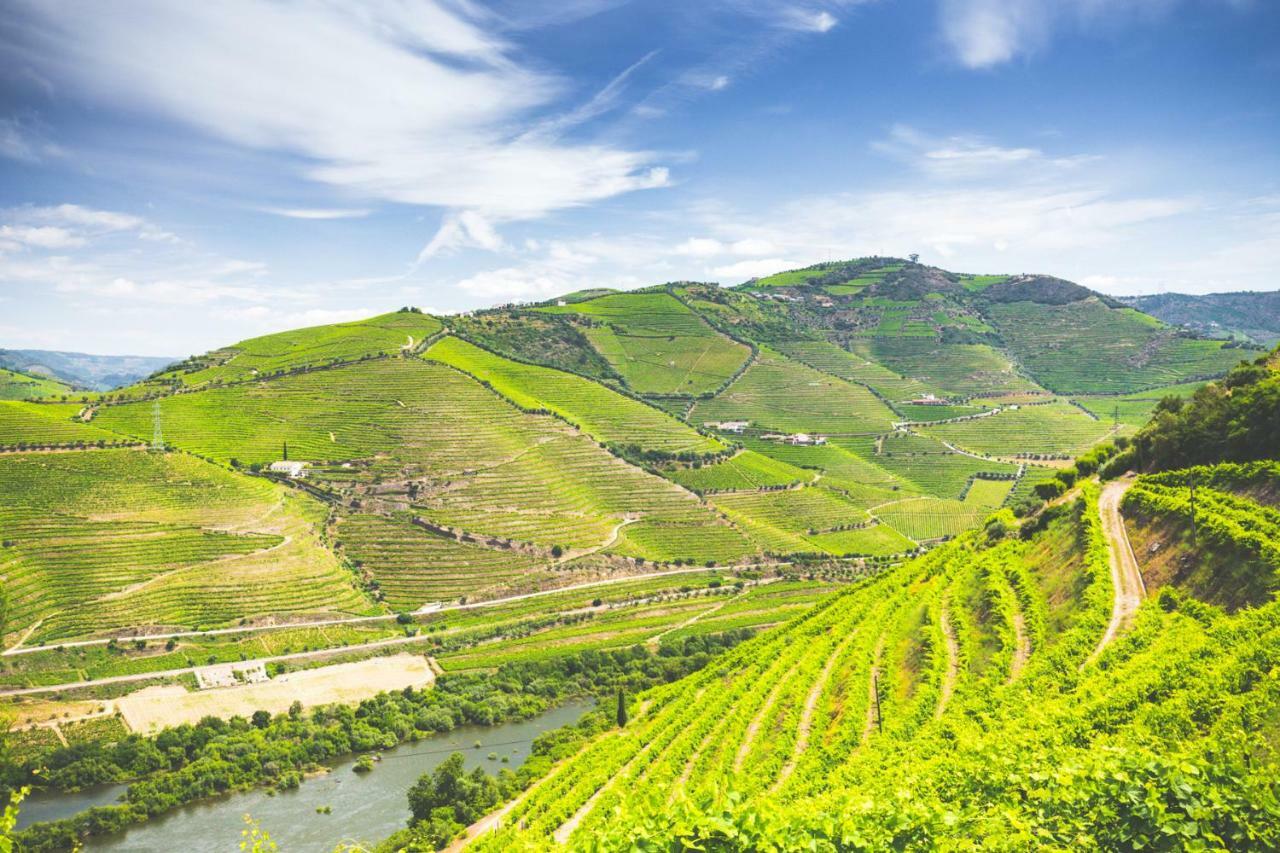 Quinta Do Valdalagea Country house