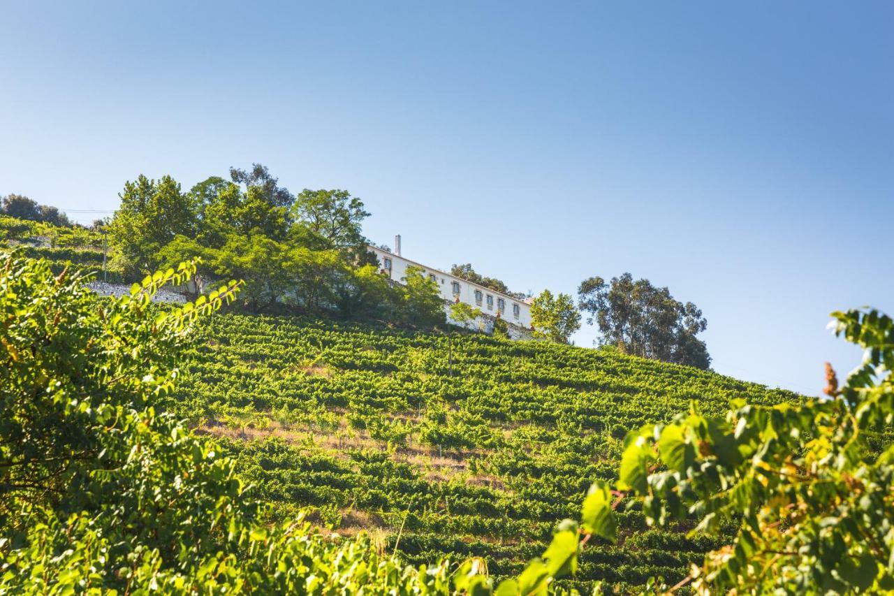 Séjour à la campagne Quinta Do Valdalagea