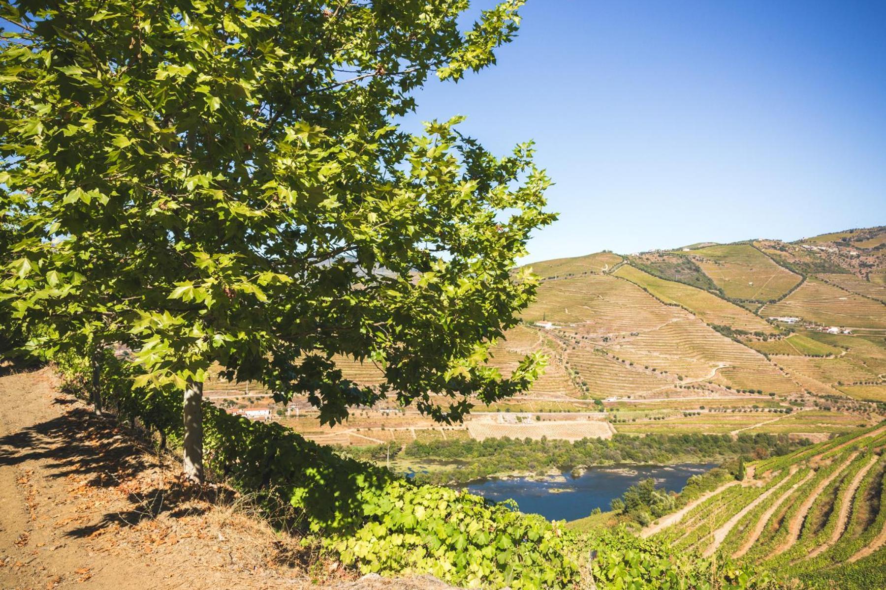 Quinta Do Valdalagea