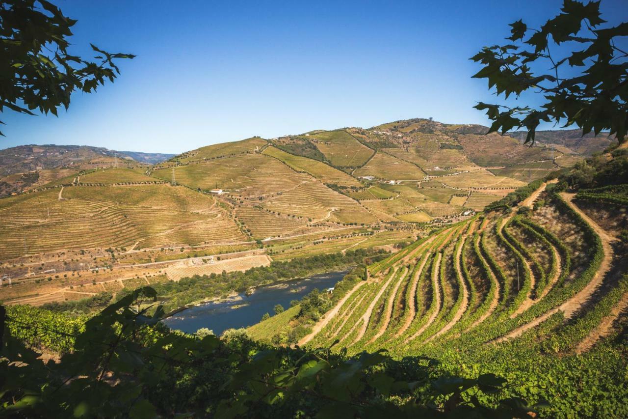 Quinta Do Valdalagea