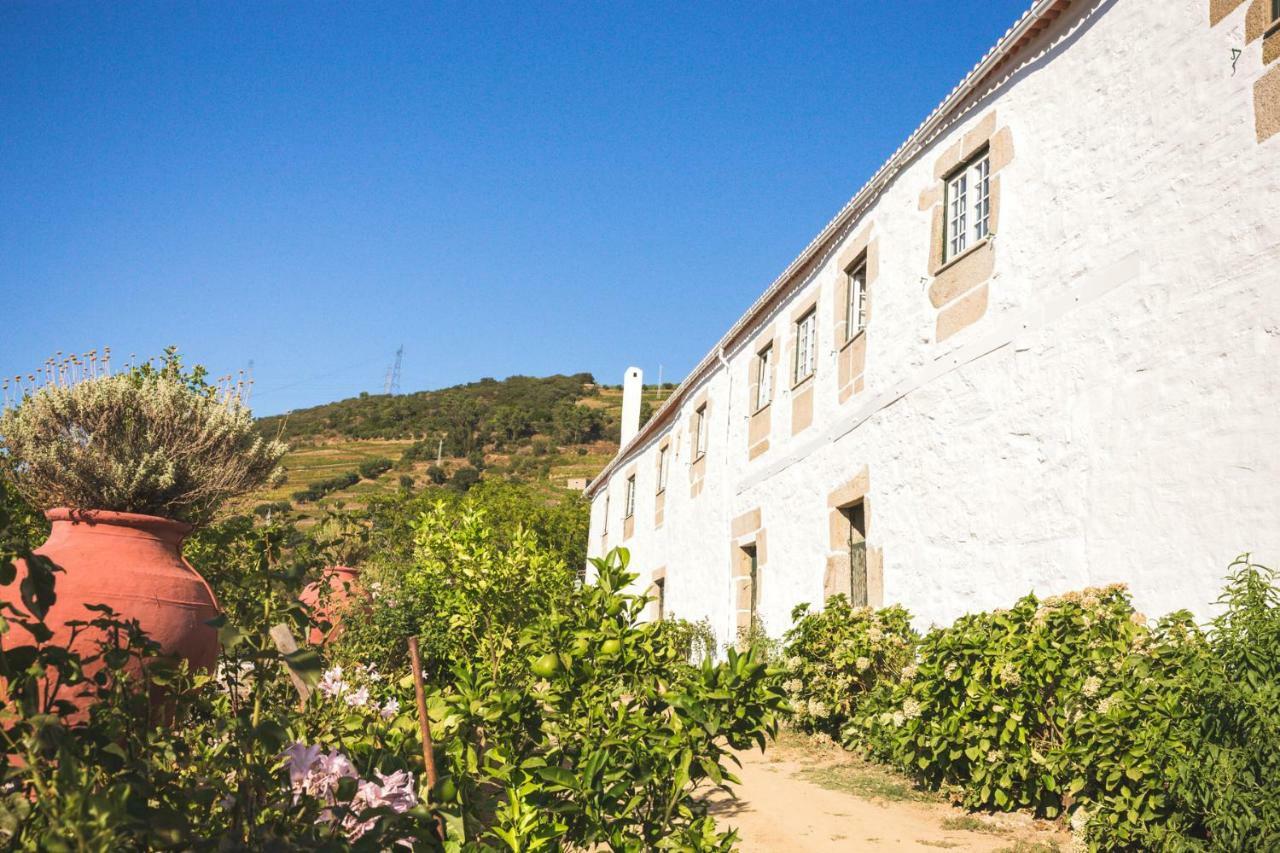Séjour à la campagne Quinta Do Valdalagea