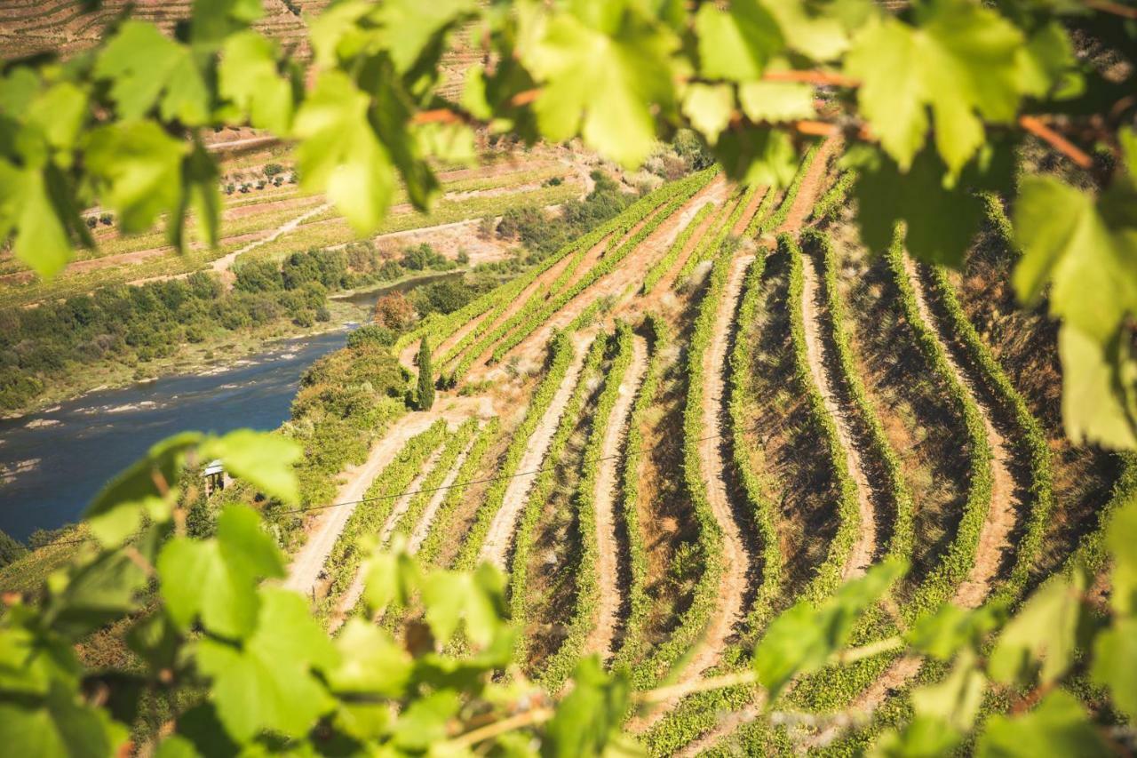 Quinta Do Valdalagea Séjour à la campagne Peso da Régua